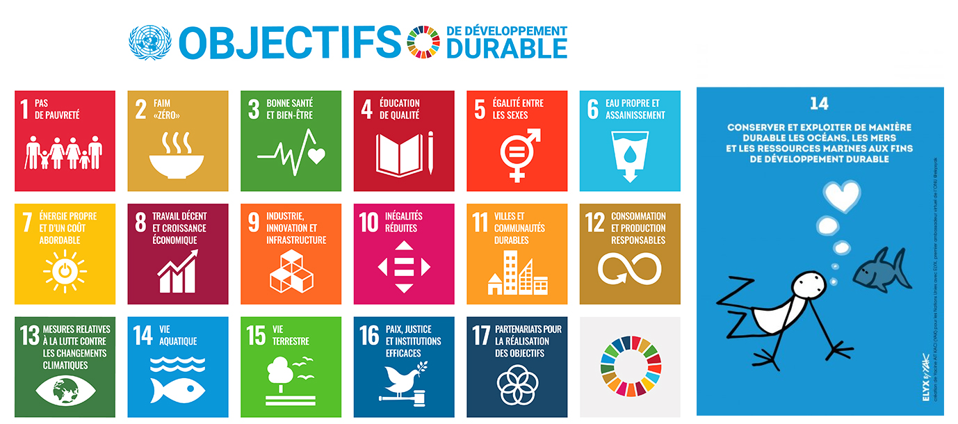 Objectifs de développement durable - Objectif 14, conserver et exploiter de manière durable les océans, les mers et les ressources marines aux fin de développement durable